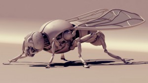 A fly is way too complex